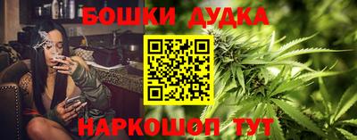 сатива Конаково