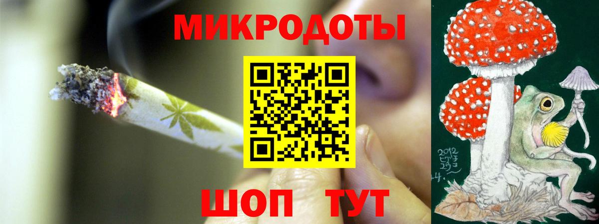 Волхов  Псилоцибиновые грибы MAGIC MUSHROOMS  Вход с VPN 