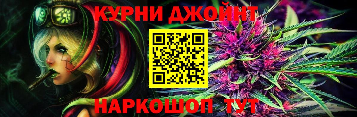 Канабис семена  Конопля гибрид  Канабис SATIVA & INDICA  Волхов  Вход с VPN 